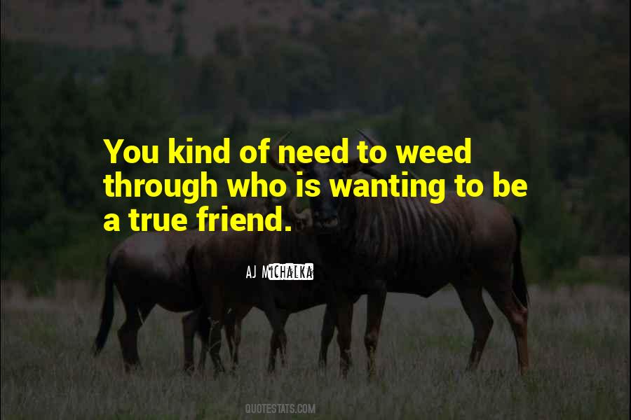 Only Need One Friend Quotes #120776