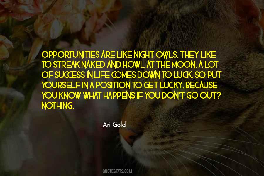 Opportunity And Success Quotes #961606