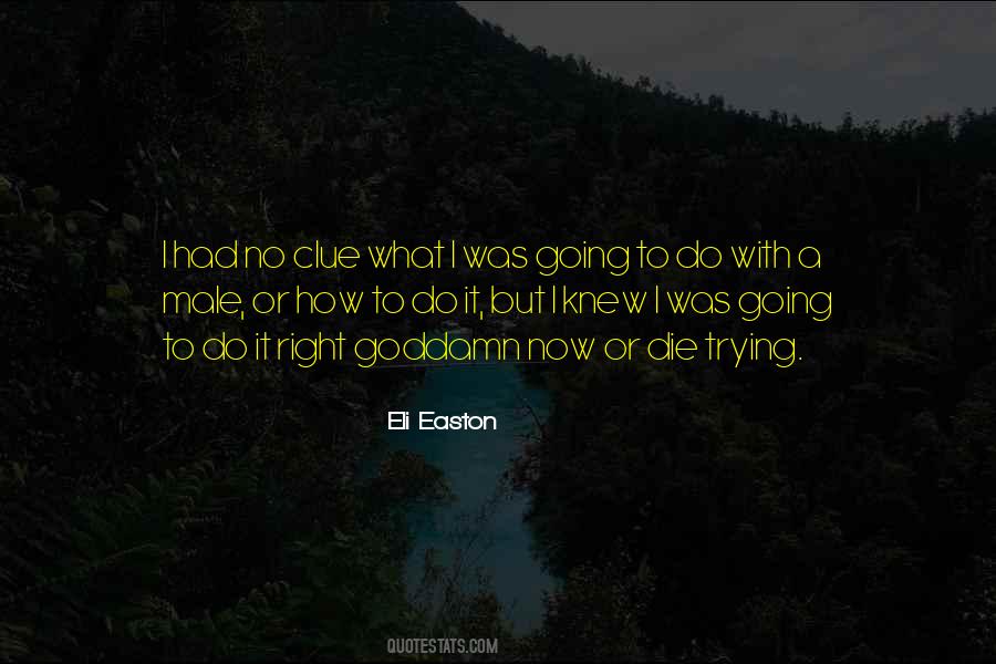 Or Die Trying Quotes #149341
