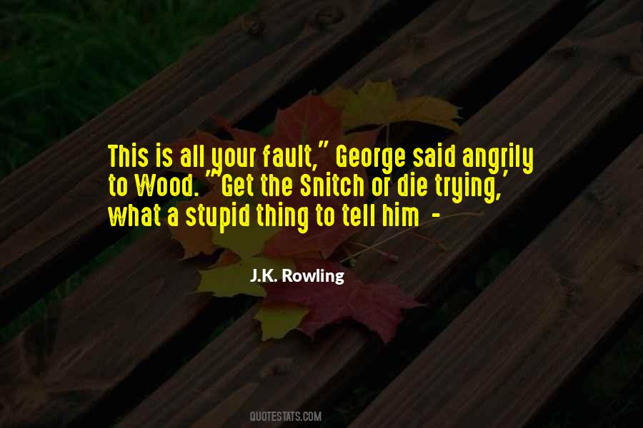 Or Die Trying Quotes #39845