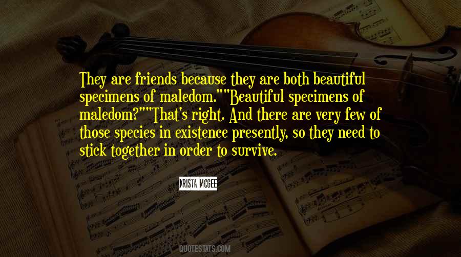 Order And Beauty Quotes #1270222