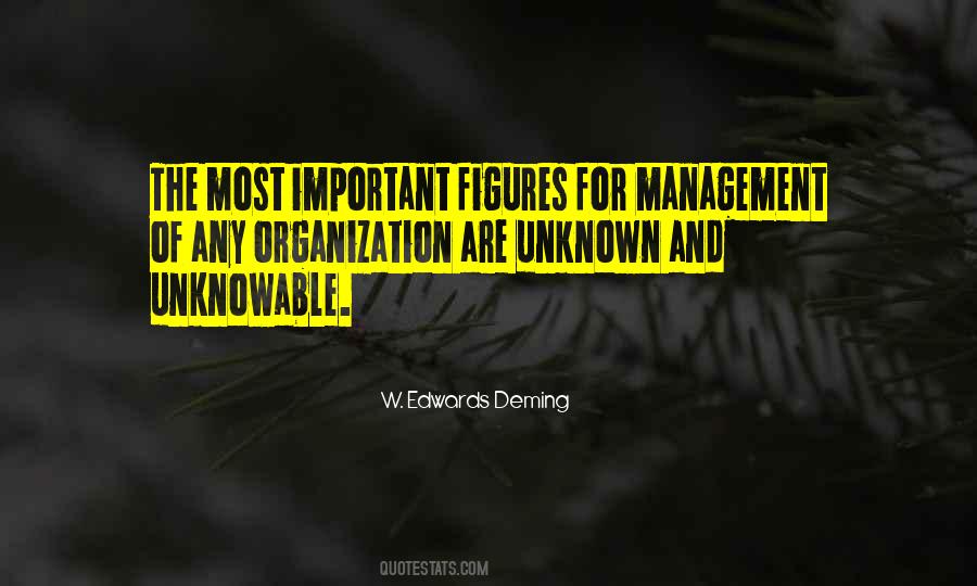 Organization Management Quotes #608071