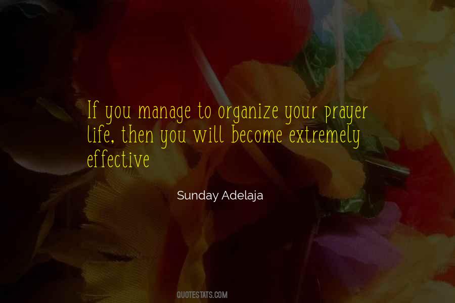 Organize My Life Quotes #340105