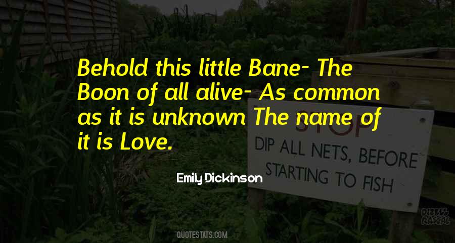 Quotes About Boon #1325325