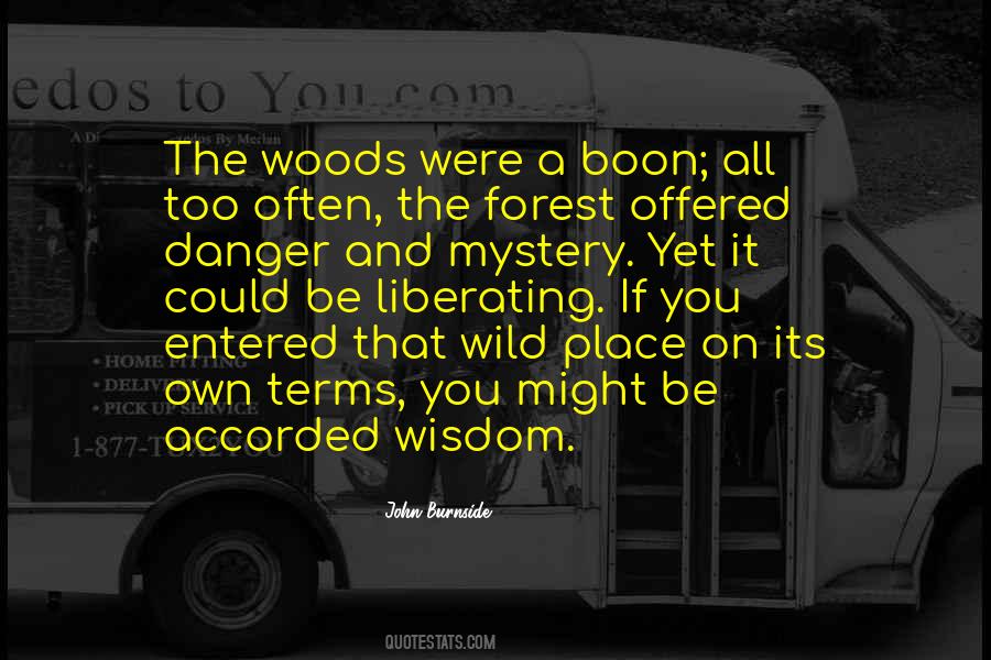 Quotes About Boon #646863