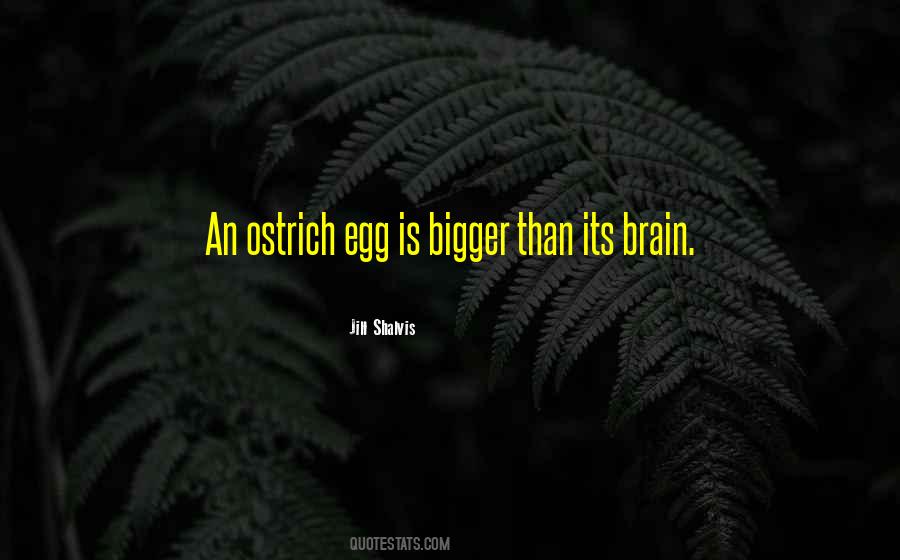 Ostrich Egg Quotes #1084210