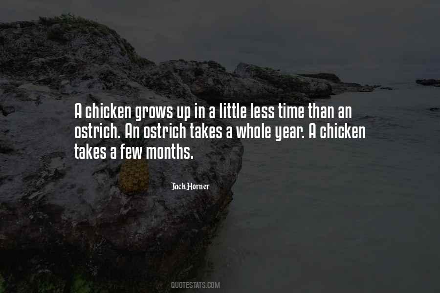 Ostrich Quotes #910901