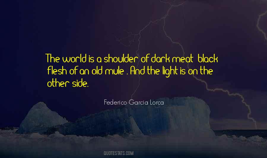 Other Side Of The World Quotes #1342670