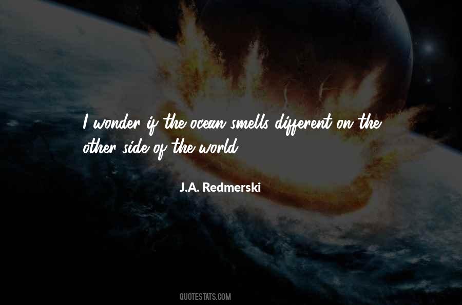 Other Side Of The World Quotes #503541