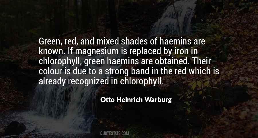 Otto Warburg Quotes #420843