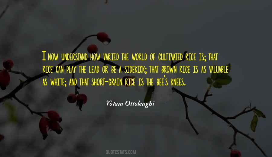 Ottolenghi Quotes #365820