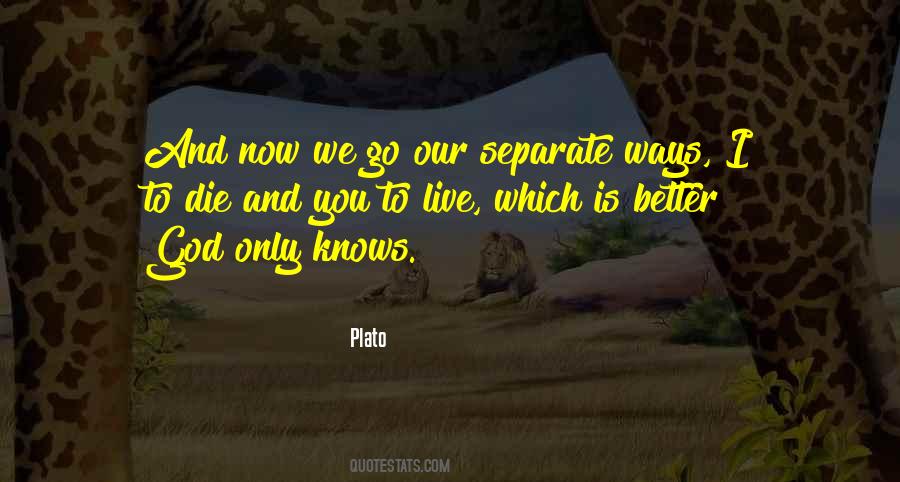 Our Separate Ways Quotes #488606