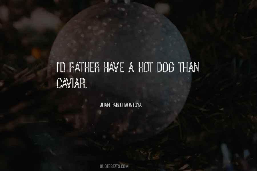 Pablo Montoya Quotes #305582