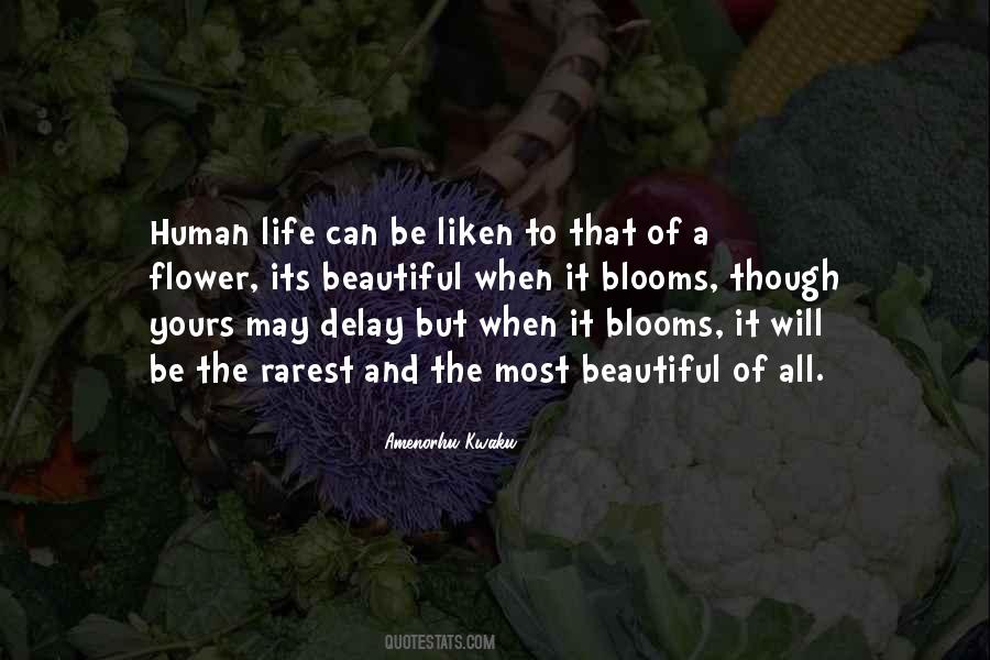 Quotes About Blooms #1237120