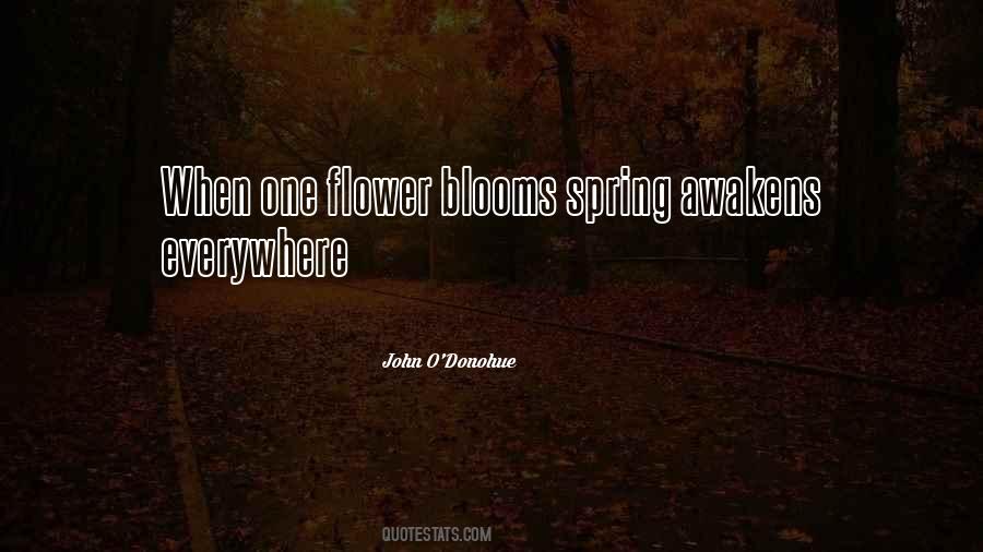 Quotes About Blooms #1332582