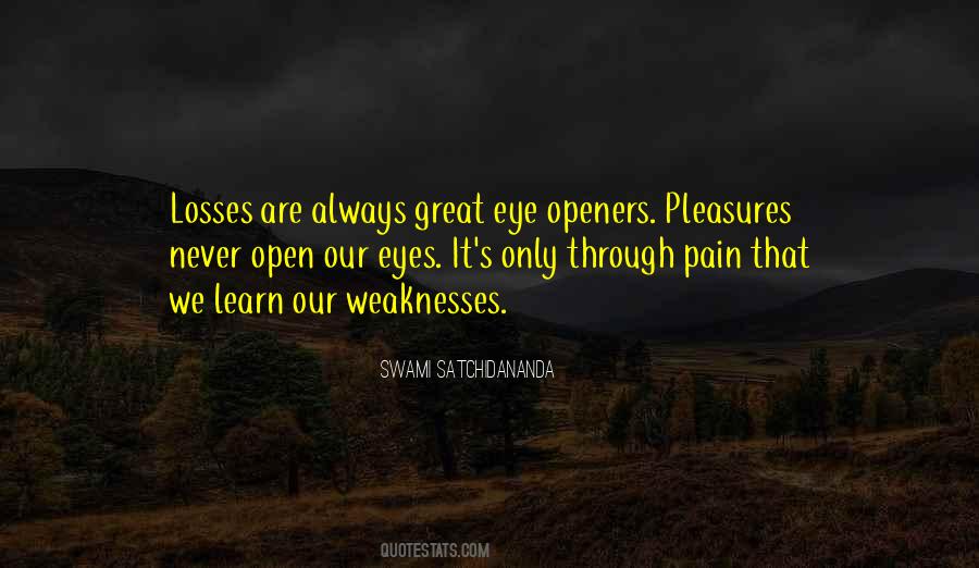 Pain In My Eye Quotes #1210161
