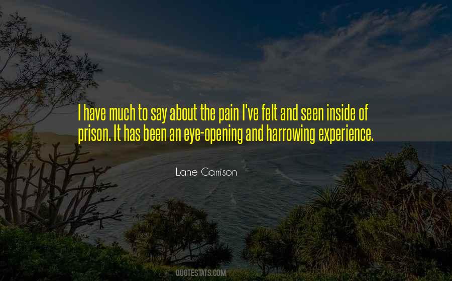 Pain In My Eye Quotes #366557