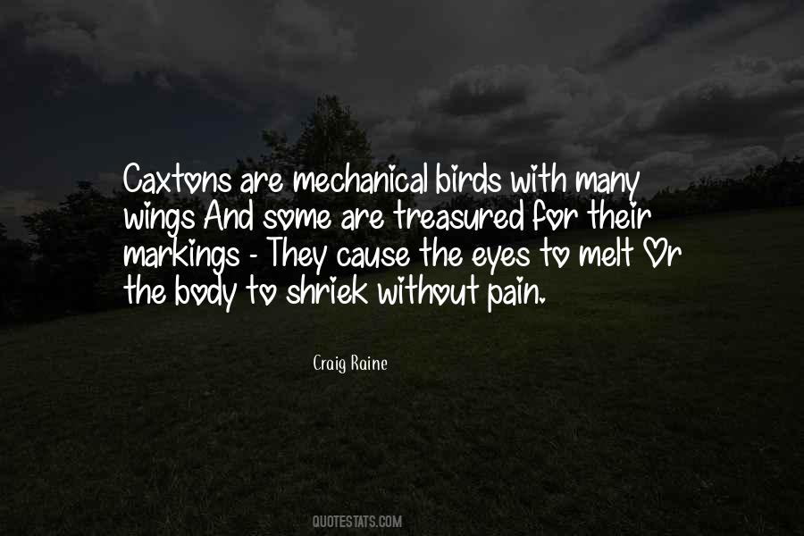 Pain In My Eye Quotes #786350