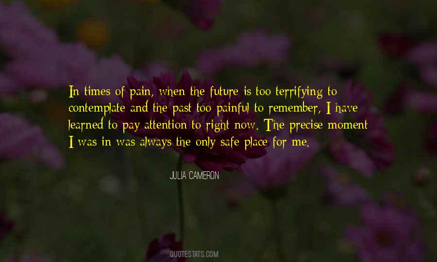 Pain In The Past Quotes #1043891