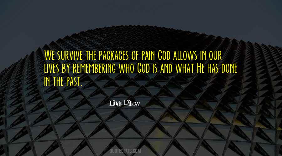 Pain In The Past Quotes #441845
