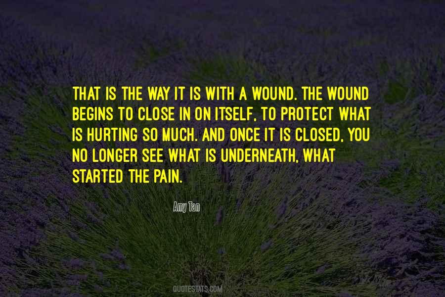 Pain In The Past Quotes #563541