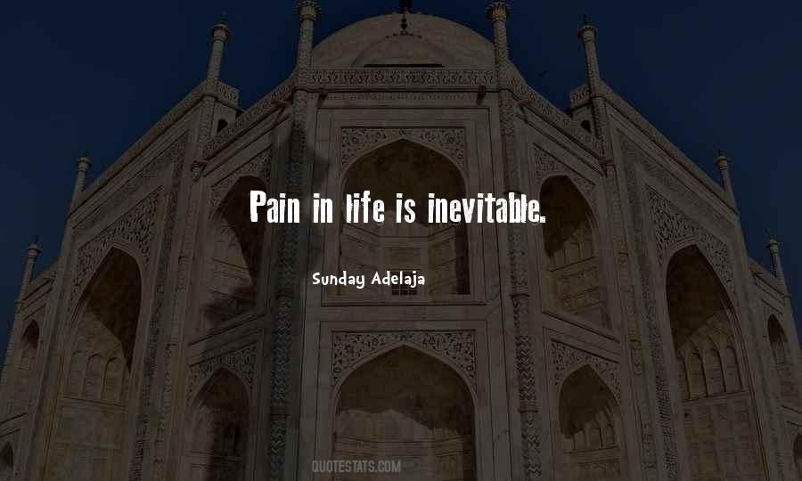 Pain Is Inevitable Quotes #546391