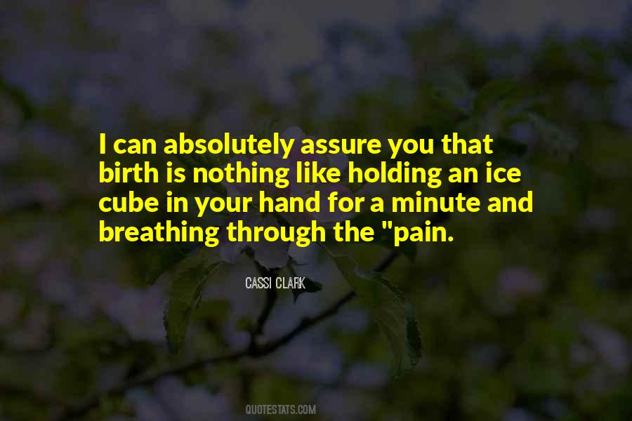 Pain Is Nothing Quotes #19511