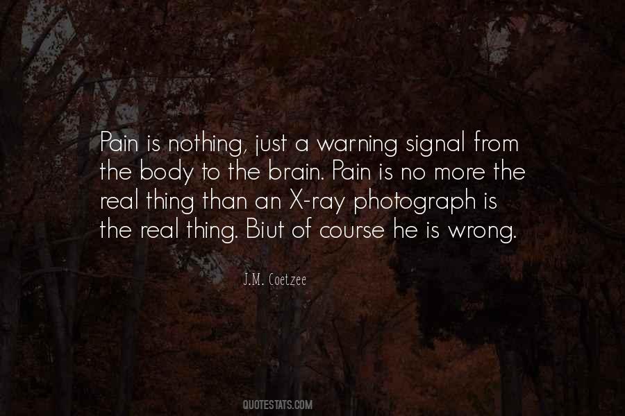 Pain Is Nothing Quotes #481920