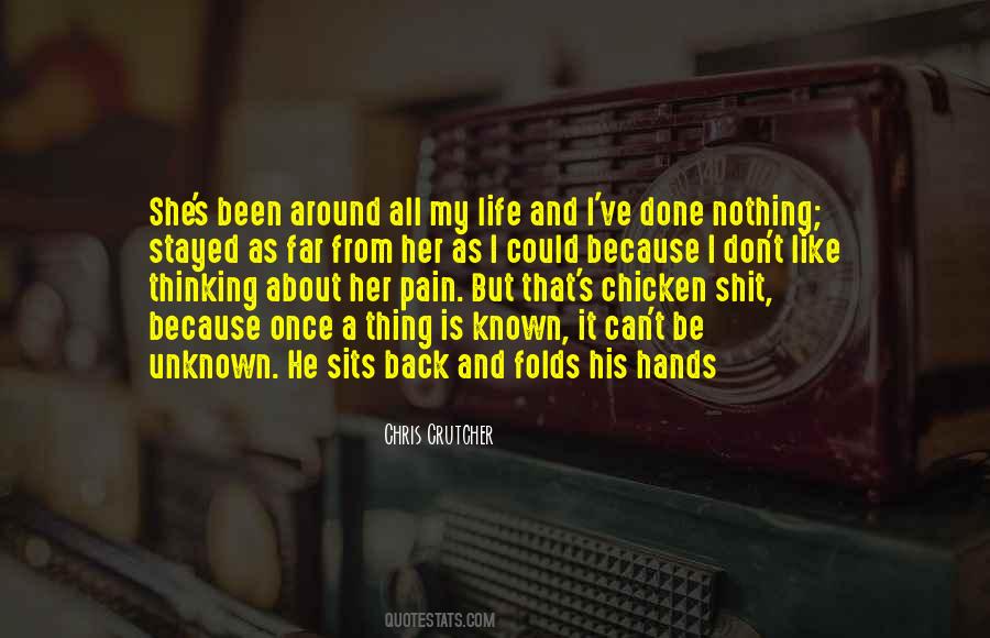 Pain Is Nothing Quotes #504233