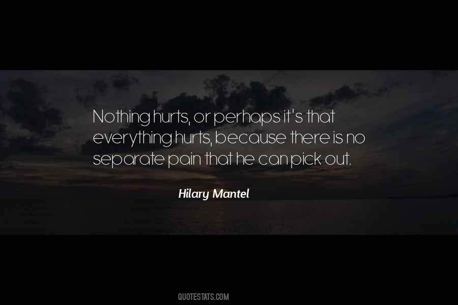 Pain Is Nothing Quotes #570346