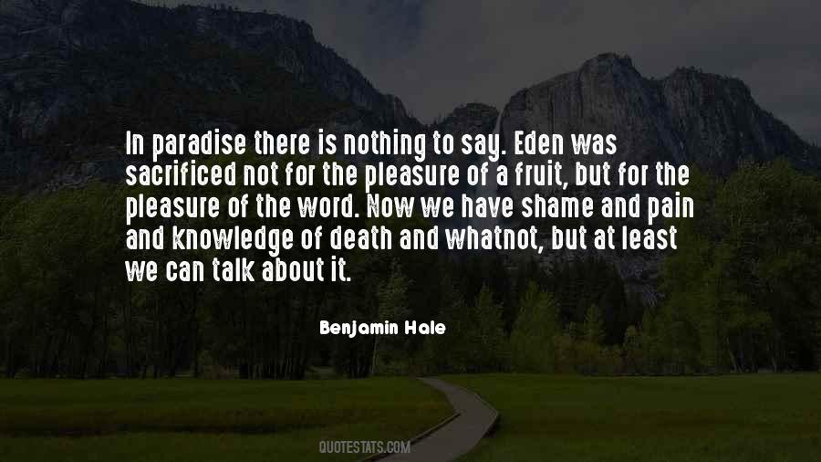 Pain Is Nothing Quotes #577764