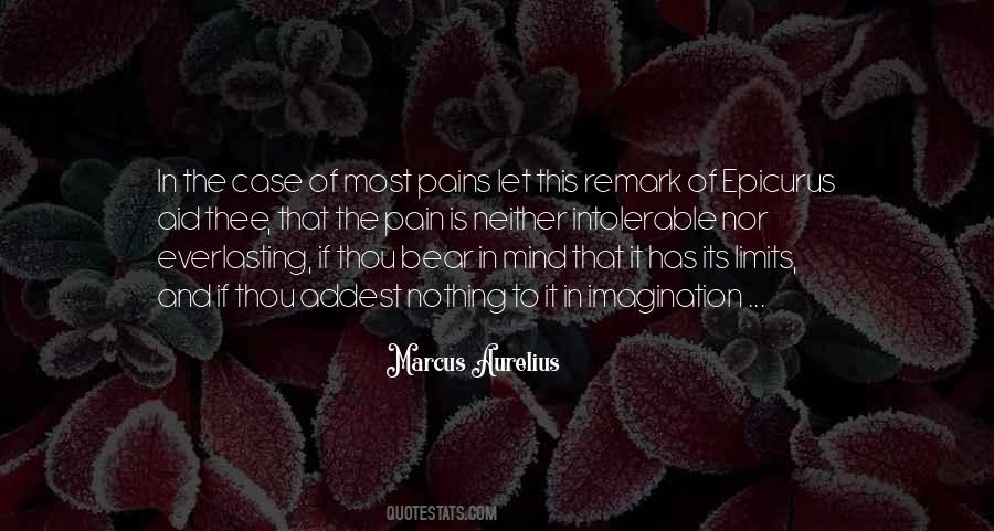 Pain Is Nothing Quotes #82010