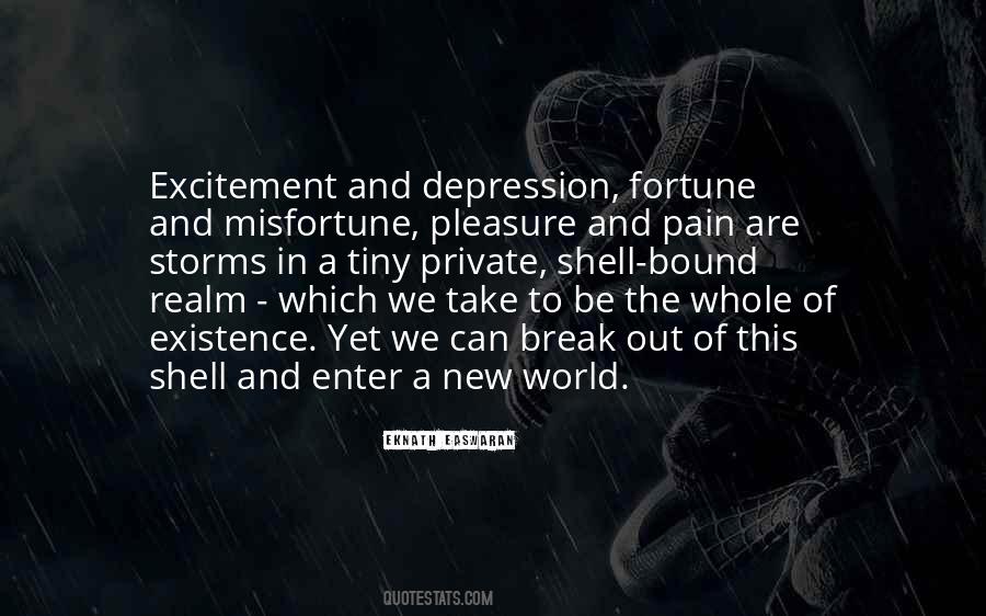 Pain Over Pleasure Quotes #4380