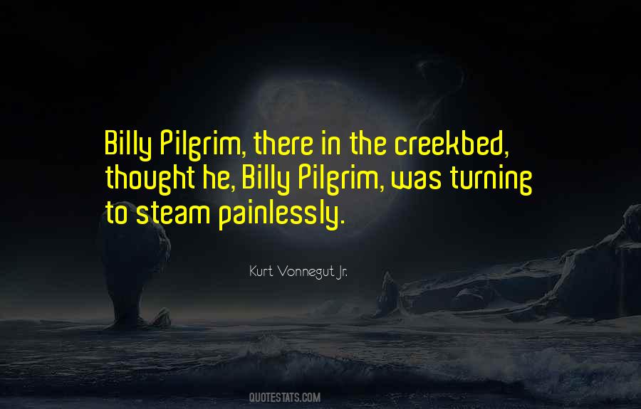 Pain Reliever Quotes #1111384