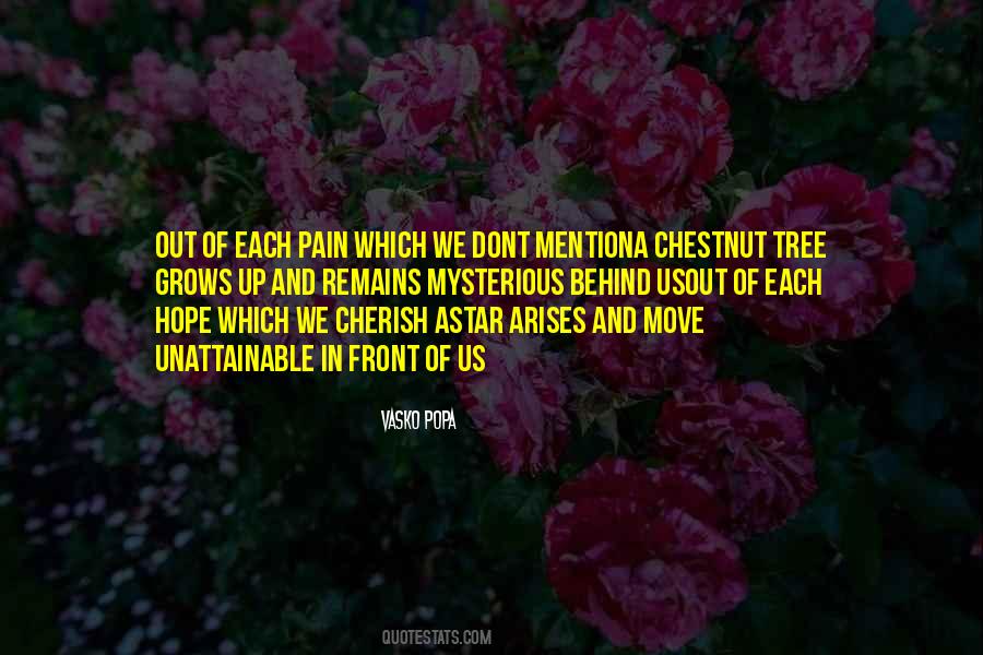Pain Still Remains Quotes #1724644