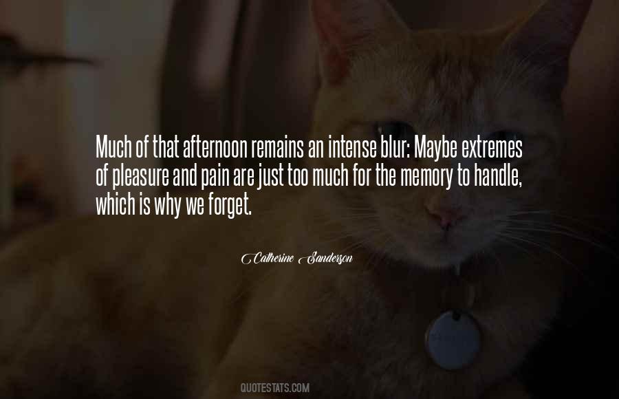 Pain Still Remains Quotes #927749