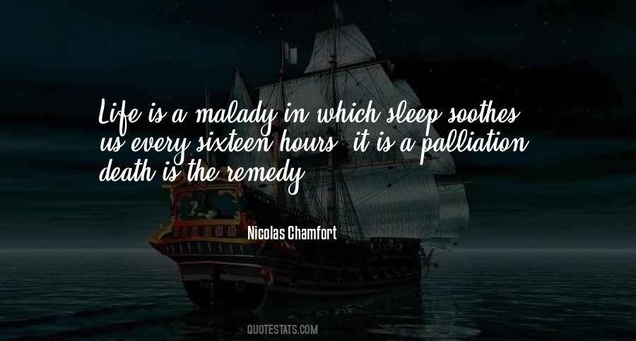 Palliation Quotes #728872