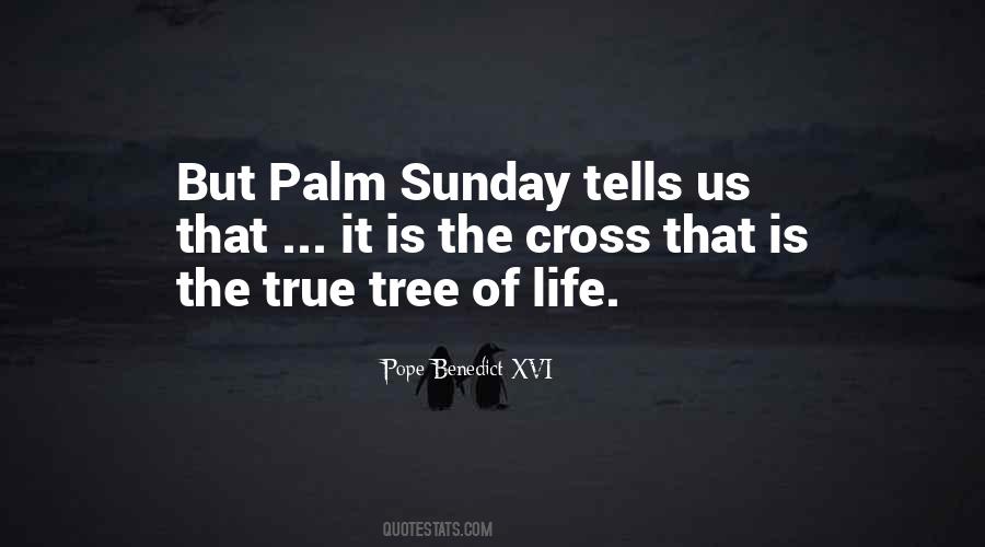 Palm Tree With Quotes #270758