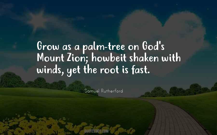 Palm Tree With Quotes #825386