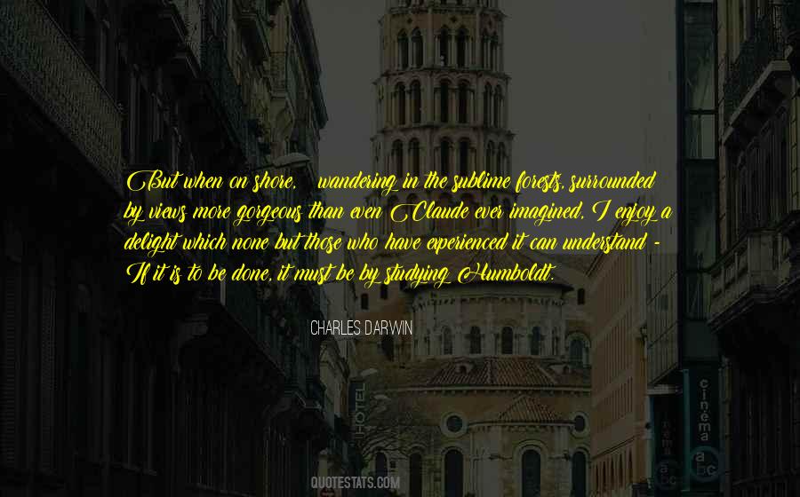 Papa Bear Quotes #1099261