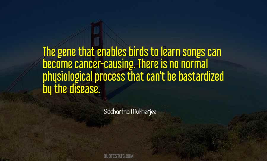 Quotes About Birds Songs #61563