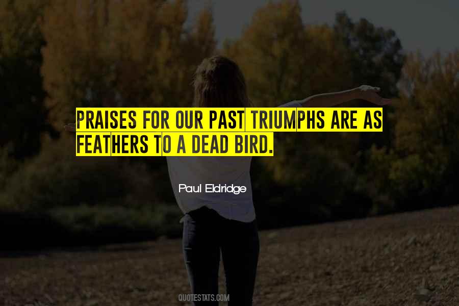 Quotes About Bird Feathers #1000751