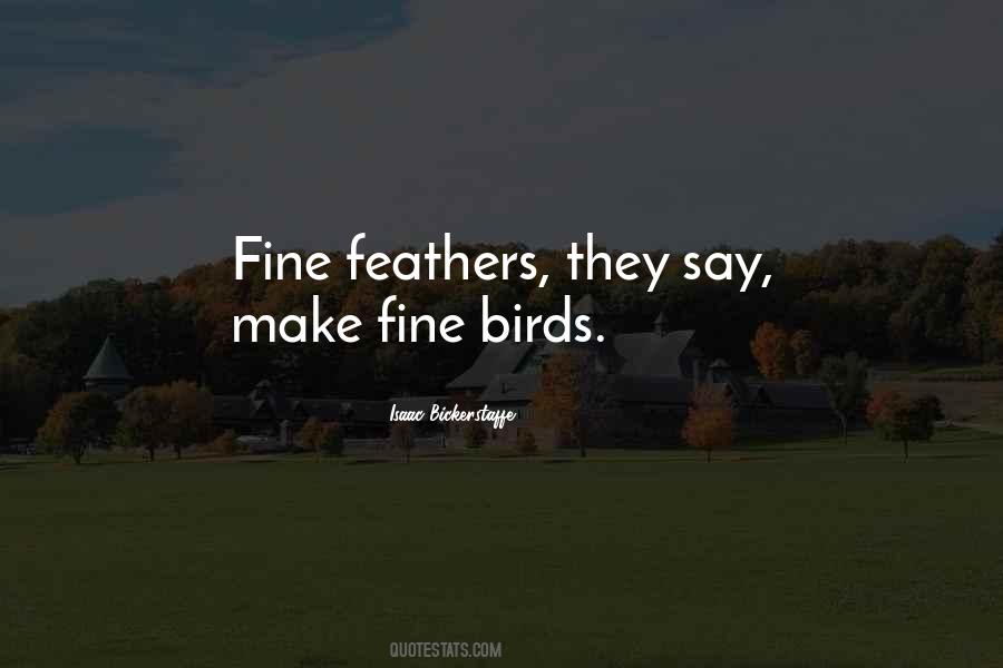 Quotes About Bird Feathers #1320664