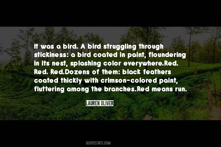 Quotes About Bird Feathers #672412