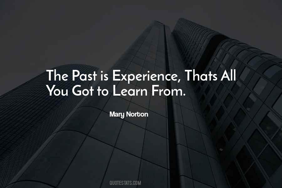 Past Is Experience Quotes #705303