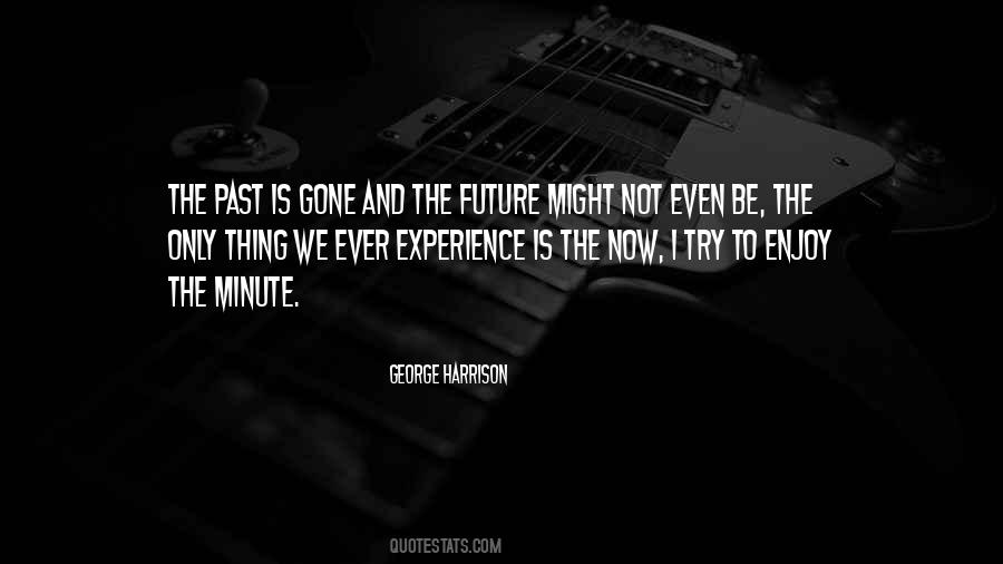Past Is Experience Quotes #910005