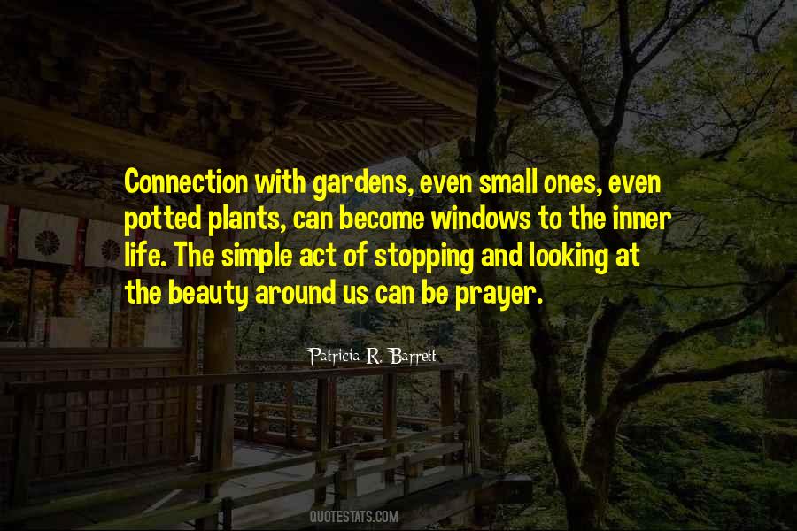 Past Life Connection Quotes #90472
