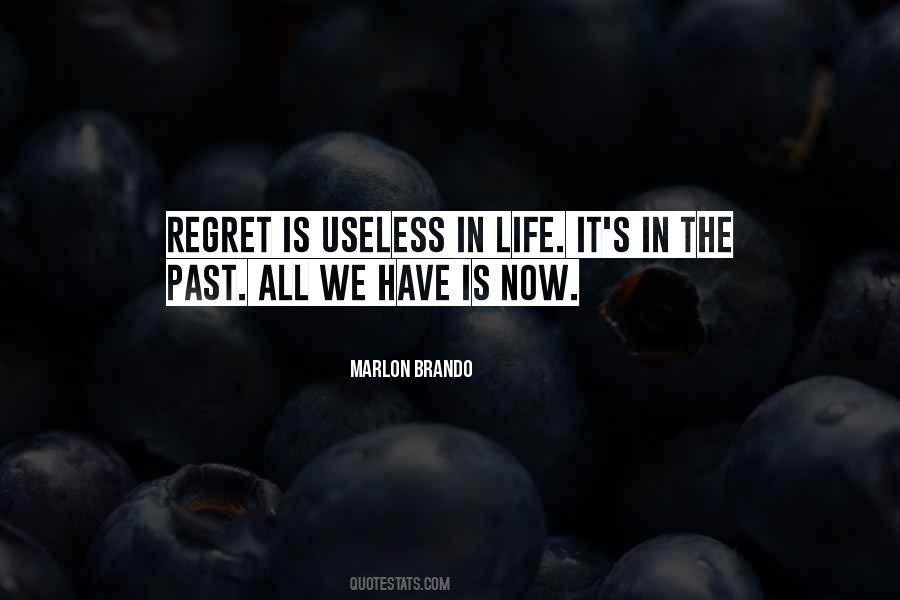 Past Life Regret Quotes #197946