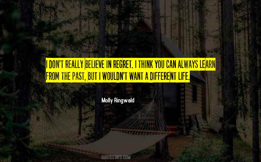 Past Life Regret Quotes #498705