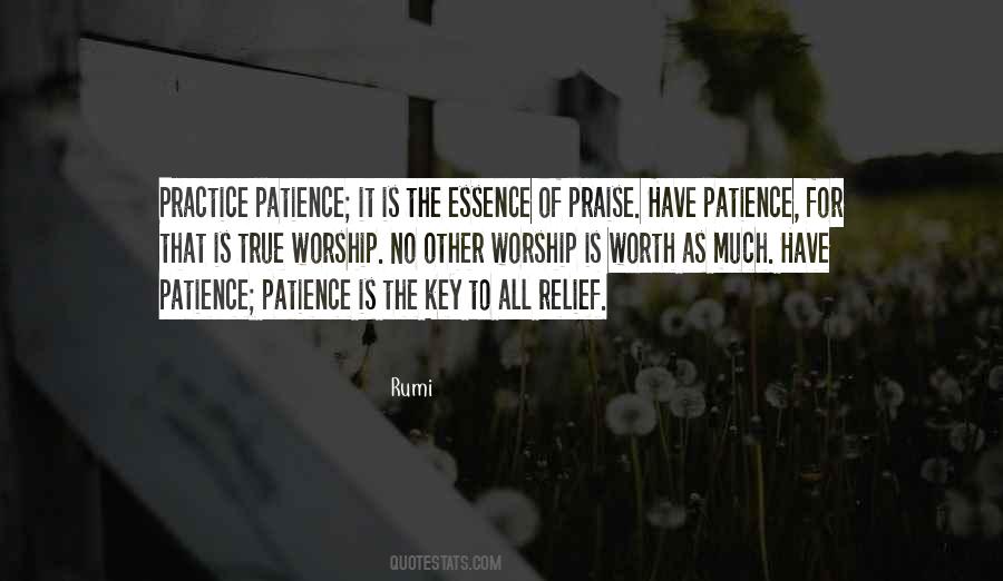 Patience Is The Key Quotes #1282008